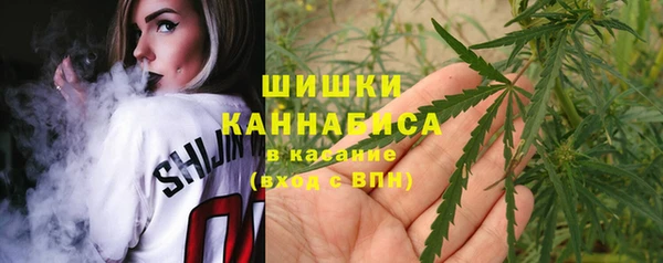 винт Баксан